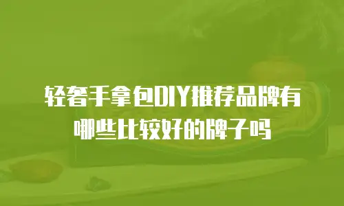 轻奢手拿包DIY推荐品牌有哪些比较好的牌子吗