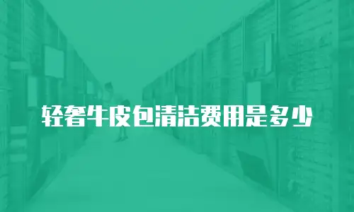 轻奢牛皮包清洁费用是多少