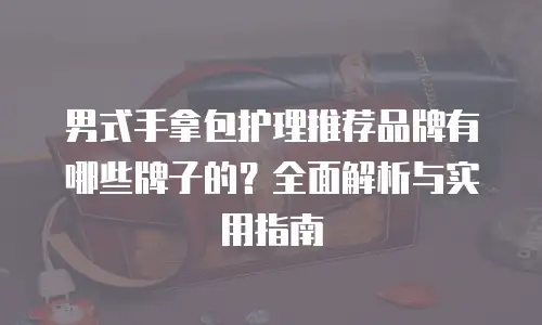 男式手拿包护理推荐品牌有哪些牌子的？全面解析与实用指南