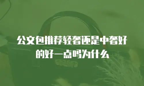 公文包推荐轻奢还是中奢好的好一点吗为什么