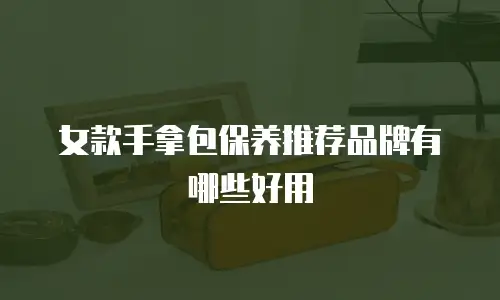 女款手拿包保养推荐品牌有哪些好用