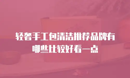 轻奢手工包清洁推荐品牌有哪些比较好看一点
