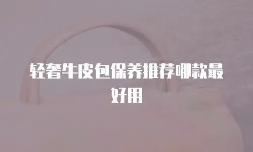 轻奢牛皮包保养推荐哪款最好用
