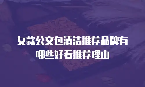 女款公文包清洁推荐品牌有哪些好看推荐理由
