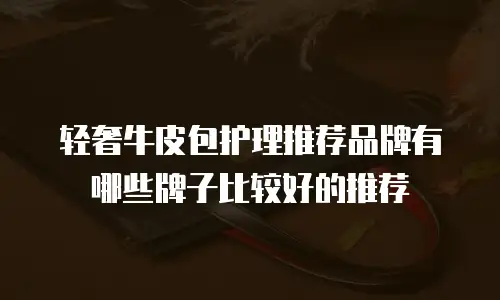 轻奢牛皮包护理推荐品牌有哪些牌子比较好的推荐