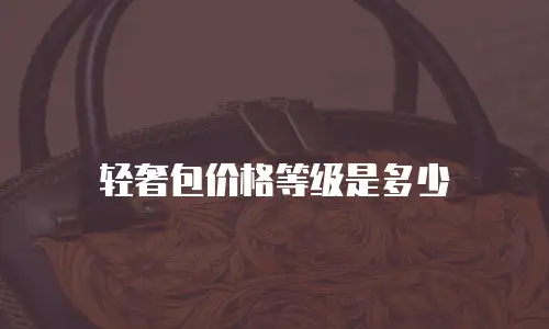 轻奢包价格等级是多少