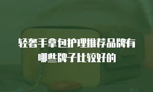 轻奢手拿包护理推荐品牌有哪些牌子比较好的