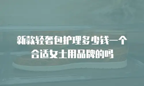 新款轻奢包护理多少钱一个合适女士用品牌的吗