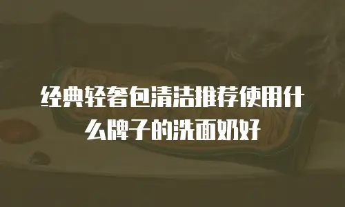 经典轻奢包清洁推荐使用什么牌子的洗面奶好