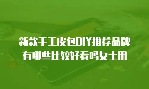 新款手工皮包DIY推荐品牌有哪些比较好看吗女士用