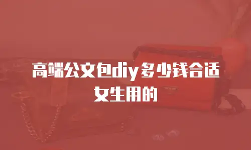 高端公文包diy多少钱合适女生用的