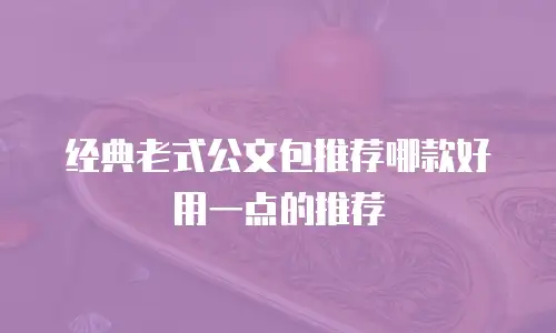 经典老式公文包推荐哪款好用一点的推荐