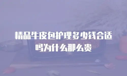 精品牛皮包护理多少钱合适吗为什么那么贵