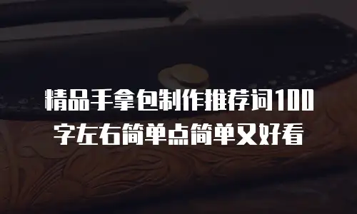 精品手拿包制作推荐词100字左右简单点简单又好看
