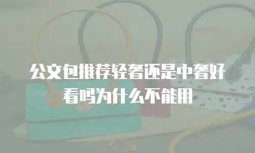 公文包推荐轻奢还是中奢好看吗为什么不能用