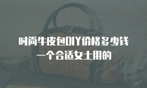 时尚牛皮包DIY价格多少钱一个合适女士用的