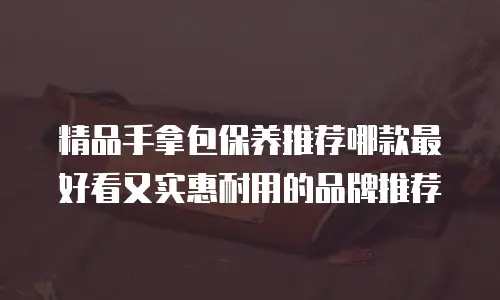 精品手拿包保养推荐哪款最好看又实惠耐用的品牌推荐
