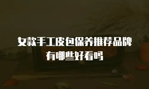 女款手工皮包保养推荐品牌有哪些好看吗