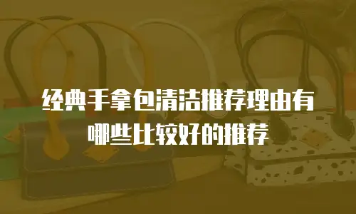 经典手拿包清洁推荐理由有哪些比较好的推荐