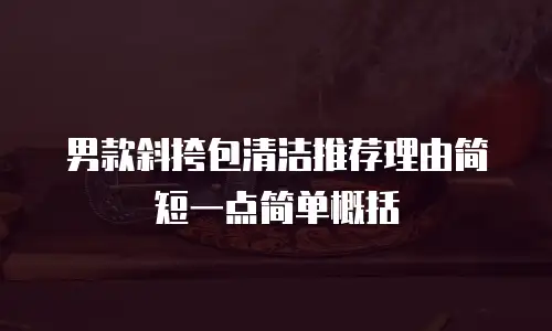 男款斜挎包清洁推荐理由简短一点简单概括