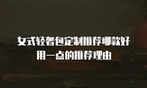 女式轻奢包定制推荐哪款好用一点的推荐理由