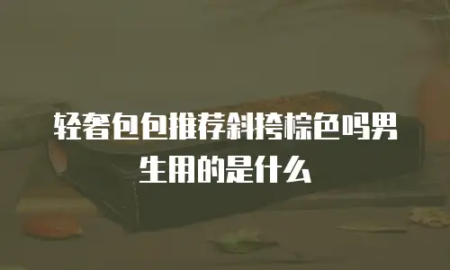 轻奢包包推荐斜挎棕色吗男生用的是什么