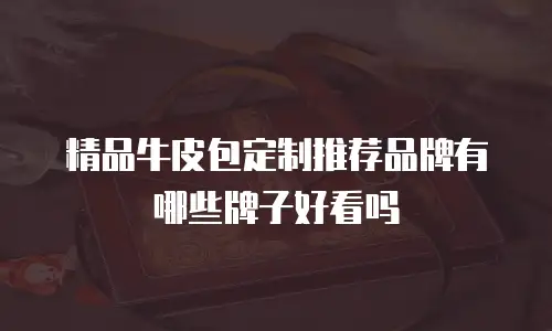 精品牛皮包定制推荐品牌有哪些牌子好看吗
