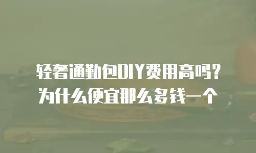 轻奢通勤包DIY费用高吗？为什么便宜那么多钱一个