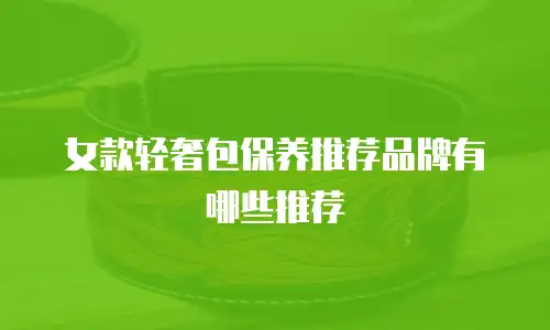 女款轻奢包保养推荐品牌有哪些推荐