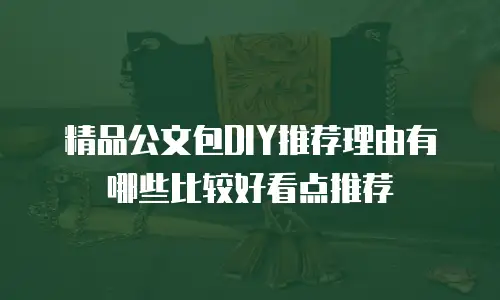 精品公文包DIY推荐理由有哪些比较好看点推荐