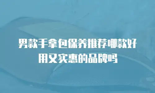 男款手拿包保养推荐哪款好用又实惠的品牌吗