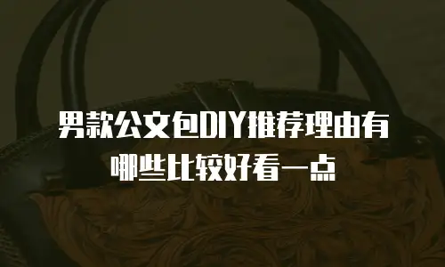 男款公文包DIY推荐理由有哪些比较好看一点