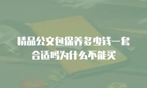 精品公文包保养多少钱一套合适吗为什么不能买