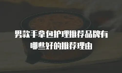 男款手拿包护理推荐品牌有哪些好的推荐理由