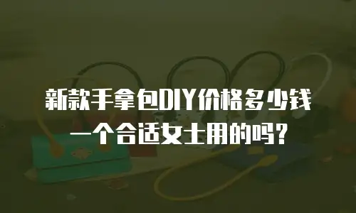 新款手拿包DIY价格多少钱一个合适女士用的吗？