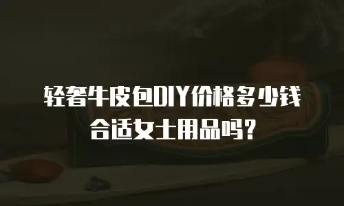 轻奢牛皮包DIY价格多少钱合适女士用品吗？