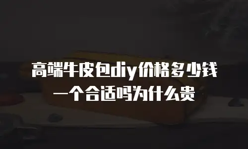高端牛皮包diy价格多少钱一个合适吗为什么贵