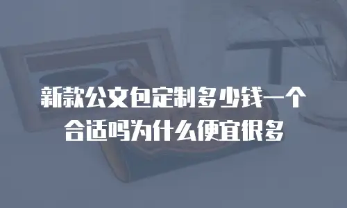 新款公文包定制多少钱一个合适吗为什么便宜很多