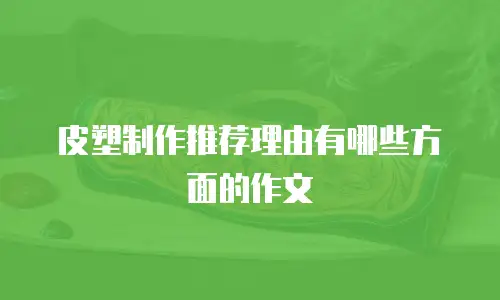 皮塑制作推荐理由有哪些方面的作文