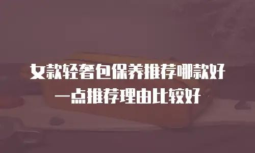 女款轻奢包保养推荐哪款好一点推荐理由比较好