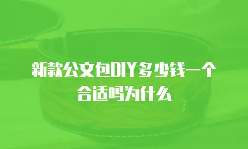 新款公文包DIY多少钱一个合适吗为什么