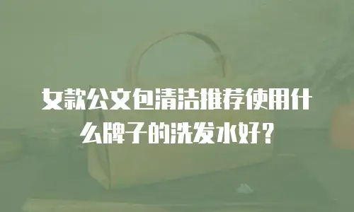 女款公文包清洁推荐使用什么牌子的洗发水好？