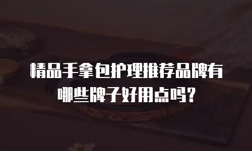 精品手拿包护理推荐品牌有哪些牌子好用点吗？