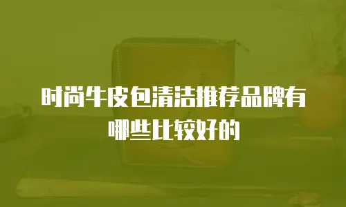 时尚牛皮包清洁推荐品牌有哪些比较好的