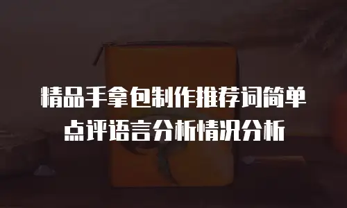 精品手拿包制作推荐词简单点评语言分析情况分析