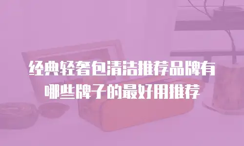经典轻奢包清洁推荐品牌有哪些牌子的最好用推荐