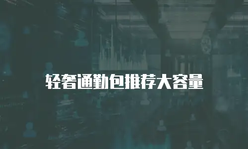 轻奢通勤包推荐大容量