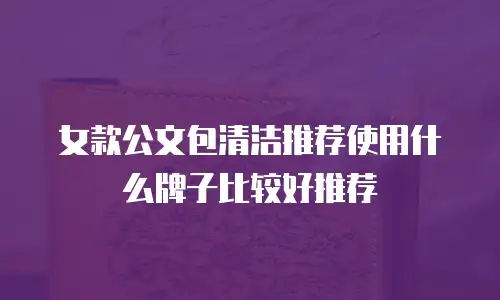 女款公文包清洁推荐使用什么牌子比较好推荐