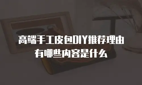 高端手工皮包DIY推荐理由有哪些内容是什么