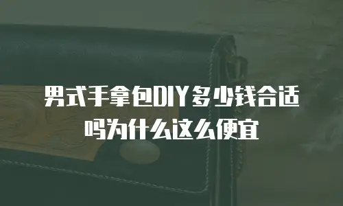 男式手拿包DIY多少钱合适吗为什么这么便宜